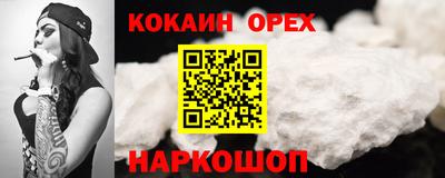 гидра Будённовск