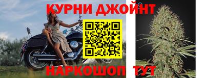 гидра Будённовск