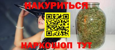 гидра Будённовск