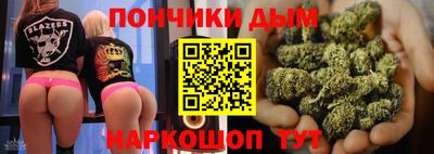 гидра Будённовск