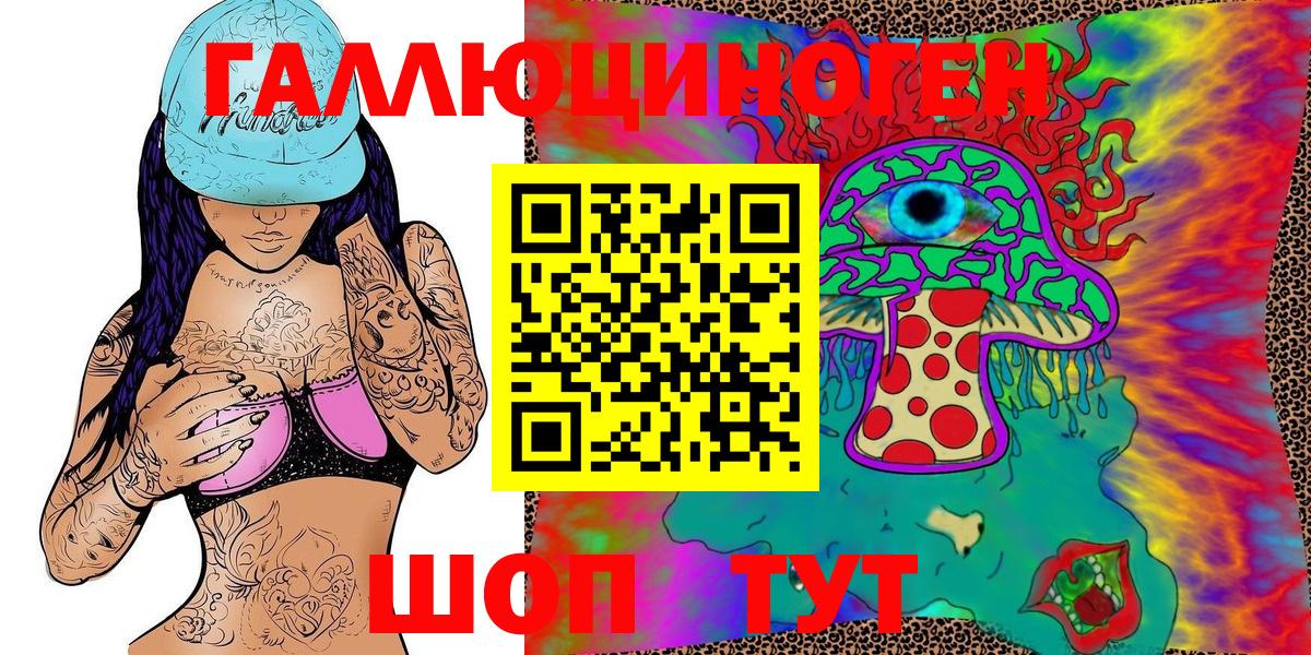Чистополь  Галлюциногенные грибы Psilocybine cubensis  Вход с VPN 